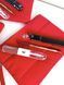 Подарунковий набір Kiko Milano Snow-Kissed Holiday My Perfect Combo Lips Gift Set 01 Cinnamon star 000374 фото 3